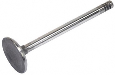 VAG 1.9 TDi Exhaust Valve- AXR, ATD, AUY, AJM, ASZ